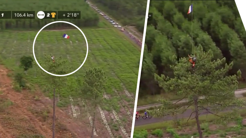 Fanúšik posunul fandenie na Tour de France na nový level. Ako následne zliezol zo stromu sme sa však už nedozvedeli! (VIDEO)