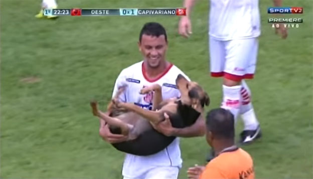 Milé video z Brazílie: Štvornohého narušiteľa zápasu vyniesol z ihriska futbalista! (VIDEO)