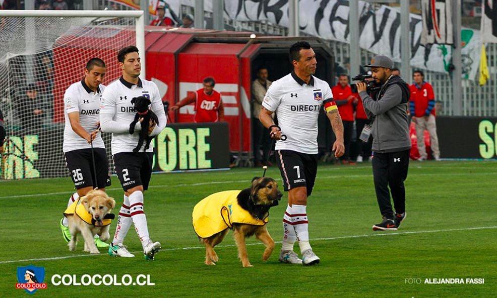 Futbalisti v Čile namiesto detských maskotov prišli na ihrisko v sprievode so psami! (VIDEO)
