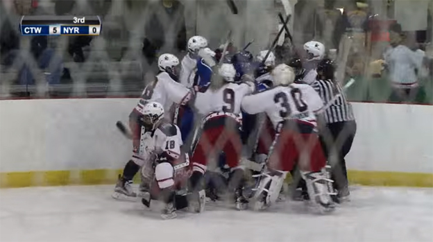 Hromadná bitka žien v zámorskej ženskej hokejovej lige NWHL (VIDEO)