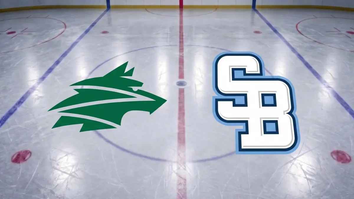 Vlci Žilina – HC Slovan Bratislava. Šláger 7. kola Tipsport ligy. Kde sledovať naživo v TV?